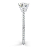 The Luminous II Moissanite Wedding Set