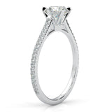 The Luminous II Moissanite Wedding Set