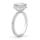 The Tender Riddle Moissanite Engagement Ring (14k Solid Gold)