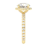 The Tender Riddle Moissanite Engagement Ring ( Yellow Gold 14K )
