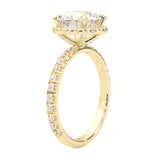 The Tender Riddle Moissanite Engagement Ring ( Yellow Gold 14K )