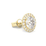 Ludovic Halo Stud Earrings ( Yellow Gold 14k )