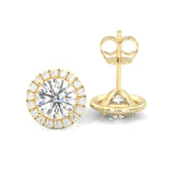 Ludovic Halo Stud Earrings ( Yellow Gold 14k )