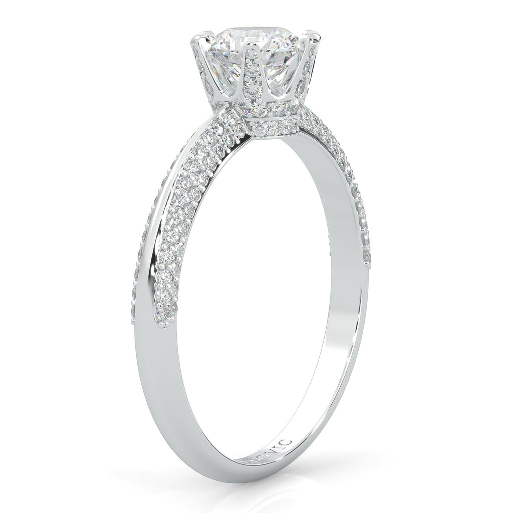 Sunny Ludovic Moissanite Ring ( White gold )
