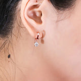 The Frozen Beauty Moissanite Earrings ( Rose Gold 14k )