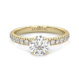 The Precious Vow Pin Moissanite Engagement Ring ( Yellow Gold 14K )