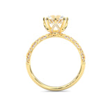 l'Ornament Lustré Moissanite Engagement Ring ( Yellow Gold )